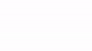 Setup logo - animated