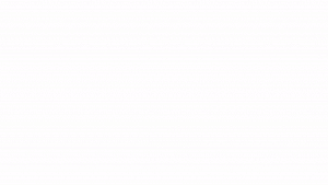 Setup-inimated-logo Setup-inimated-logo